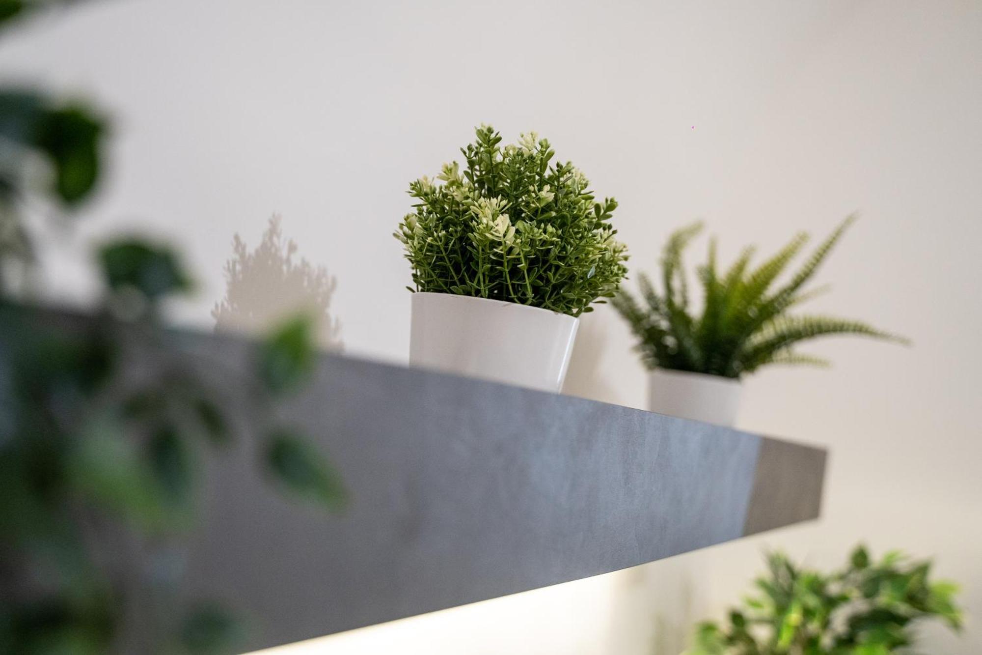 Dietro Al Plebiscito Luxury Appartement *